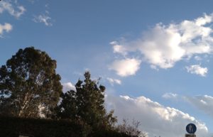 空と雲と木